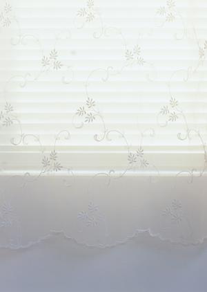 トイレピカピカすっきり快適生活